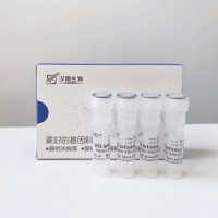 无缝克隆试剂盒