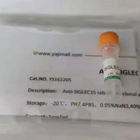 pU6-(BbsI)_CBh-Cas9-T2A-mCherr