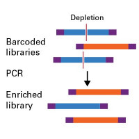 链特异性RNA建库试剂SMART-Seq® Total RN