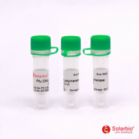 Pfu DNA Polymerase