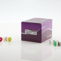 FastKing cDNA 第一链合成试剂盒 ( 去基因组