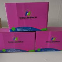 一步法粪便基因组DNA快速提取试剂