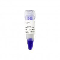 100 bp DNA Ladder（MD104）