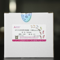 APPLYGEN变性预制胶（10%Hepes15孔）  T2