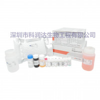 人用布病检测试剂（酶联免疫96T）
