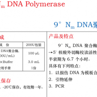 9°Nm DNA聚合酶