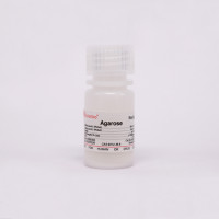 Agarose 琼脂糖(西班牙分装）