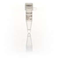 Thermo RNA酶抑制剂