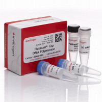 Platinum® Taq DNA Polymerase