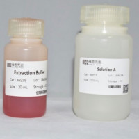 Micro Exosome Total RNA Extrac