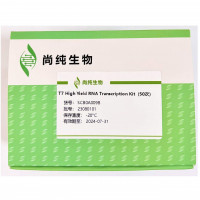 T7 High Yield RNA Transcriptio