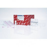 Qiagen 细胞组织RNA提取试剂盒RNeasy Mini