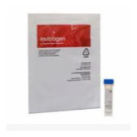 Pierce Co-Immunoprecipitation