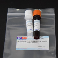 化学发光蛋白质分子量标准（10-250KD）
