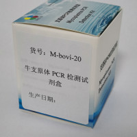 牛支原体PCR检测试剂盒
