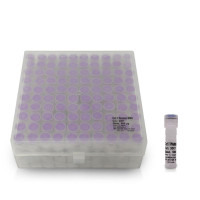 GeneON COT 1 Human DNA 人体胎盘DNA