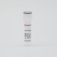 Recombinant E.coli Trp synthas