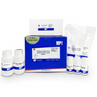 SPINeasy™ 细菌总RNA提取试剂盒，含裂解介质B