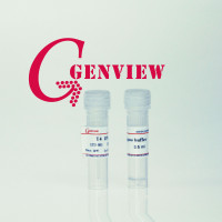 T4 DNA Ligase，DNA连接酶