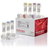 Thermo Invitrogen 18091200 Sup