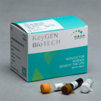 Realtime PCR Master Mix(SYBR G