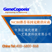 Cy3炔烃