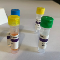 植物 RNA 提取专用高盐溶液