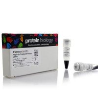 Thermo Scientific 26616 PageRu