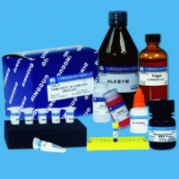 Q5000bp 定量 DNA Marker "秋季特惠 一元