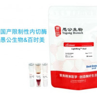 快速反应限制性内切酶 - 高效识别与切割DNA