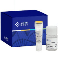NeoLNP™ 干细胞 RNA 转染试剂盒 LNP包封
