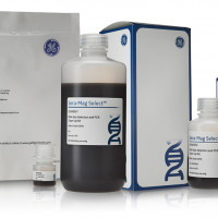 GENOMIPHI V2 DNA AMP KIT 25RXN