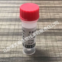重组戊肝抗原（HEV）