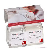 ReadyTector® Anti-Rabbit-HRP（W