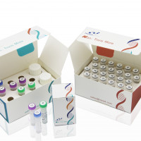 NanoPrep™DNA 文库构建试剂盒 (for MGI)