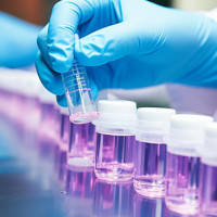禽流感 N1 实时荧光定量 RT-PCR 快速检测试剂