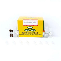 EZ DNA Methylation-Gold Kit(EZ