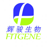 辉骏生物：载体构建及免疫印迹实验