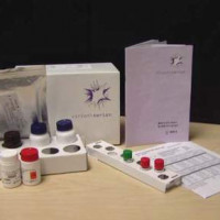 ESR129G/M  风疹病毒 IgG/IgM 试剂盒/风疹