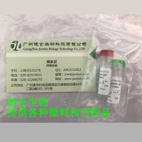 12号染色体计数探针