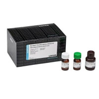 MycoAlert PLUS支原体检测试剂盒-Lonza-龙