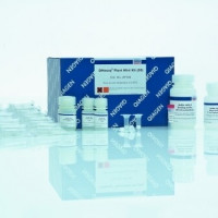 FMDV RT-PCR REAGENT