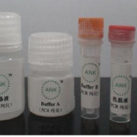 磁珠法法医样本基因组核酸DNA提取试剂盒(骨骼、牙齿、指甲、