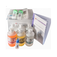 Hito Golgi-Cox OptimStain PreK