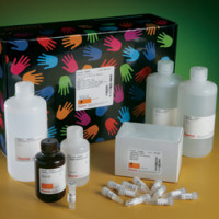 LightShift® Chemiluminescent E