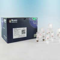 质粒 DNA 小量抽提试剂盒