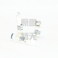 约氏乳杆菌