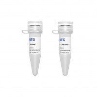 CloneUFO® One Step Cloning Kit