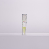 2×超敏型通用染料法qPCR预混液(含示踪剂)-500rxn