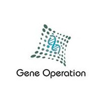 吉西他滨 Gemcitabine